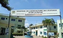 Concours de recrutement de 225 agents de l’État au profit du ministère de l’agriculture : listes des candidatures validées et rejetées