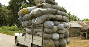 Renforcement du secteur transport bois de chauffage et charbon : de nouvelles conditions de circulation instaurées