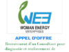 Appel d’Offre : WEE Association recrute un Consultant pour diagnostic et renforcement de capacités de ses entreprises membres