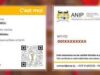 Cotonou : une opération de délivrance gratuite du Certificat du NPI en cours