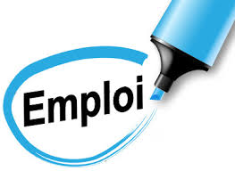 Emploi : la Mairie de Porto-Novo recrute 80 agents distributeurs et ilotiers