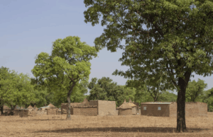 L’objectif d’éliminer le paludisme d’ici 2030 est en péril