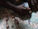 Bénin : bientôt la création d’une école du Fâ
