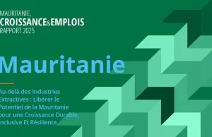 Diversifier l’économie : un levier clé pour une croissance durable en Mauritanie