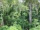 Bénin : 02 forêts classées transformées en parc national