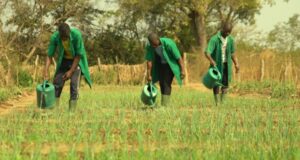 Lycées Techniques Agricoles : le Ministère lance de nouvelles filières agricoles pour la rentrée 2026