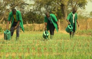 Lycées Techniques Agricoles : le Ministère lance de nouvelles filières agricoles pour la rentrée 2026