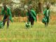 Lycées Techniques Agricoles : le Ministère lance de nouvelles filières agricoles pour la rentrée 2026