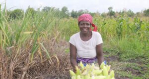 PReRAB : recrutement de cadres pour la gestion d’un financement de 30 millions de dollars