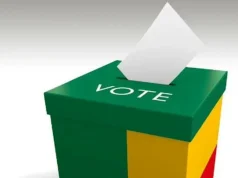 Vote de la diaspora 2026 : voici la liste des 10 pays retenus