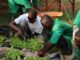 Éducation : construction des Écoles professionnelles de Formation agricole dans les communes de Bassila, Ouessè et Zè