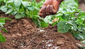 Campagne agricole 2026-2027 : le Gouvernement maintient la subvention des engrais
