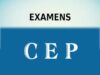 Résultat CEP 2026 au Bénin : un taux de réussite national de 90,17 % enregistré