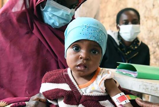 L’Afrique de l’Ouest et du Centre menacée par une catastrophe alimentaire