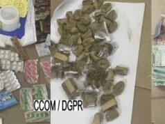 Vente de produits psychotropes : une boutique démantelée à Godomey