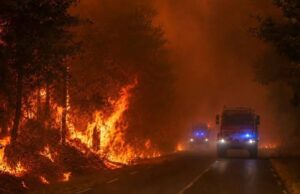 Gironde en flammes : 42 000 hectares brûlés, les incendies aux portes de Bordeaux