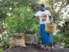 Les Africains en première ligne face à la crise de la biodiversité