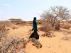 Le Programme alimentaire mondial renforce ses mesures de préparation et de réponse face à la menace d’El Niño, qui pourrait plonger des dizaines de millions de personnes dans l’insécurité alimentaire aiguë