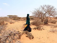 Le Programme alimentaire mondial renforce ses mesures de préparation et de réponse face à la menace d’El Niño, qui pourrait plonger des dizaines de millions de personnes dans l’insécurité alimentaire aiguë