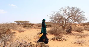 Le Programme alimentaire mondial renforce ses mesures de préparation et de réponse face à la menace d’El Niño, qui pourrait plonger des dizaines de millions de personnes dans l’insécurité alimentaire aiguë
