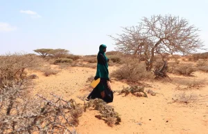 Le Programme alimentaire mondial renforce ses mesures de préparation et de réponse face à la menace d’El Niño, qui pourrait plonger des dizaines de millions de personnes dans l’insécurité alimentaire aiguë