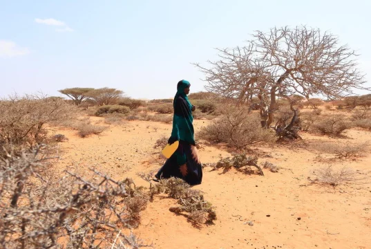 Le Programme alimentaire mondial renforce ses mesures de préparation et de réponse face à la menace d’El Niño, qui pourrait plonger des dizaines de millions de personnes dans l’insécurité alimentaire aiguë